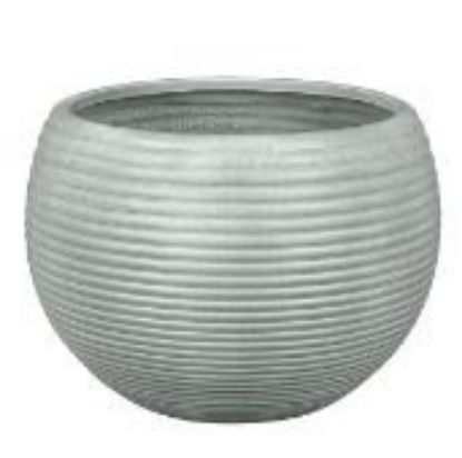 REGINA 37E 28CM 21CM resmi